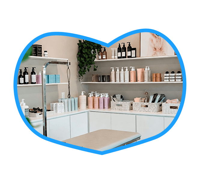professional grooming and pet care facility in Pinecrest Miami